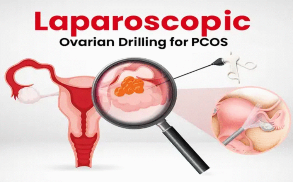 Untitled design - 2025-11-19T112556.381