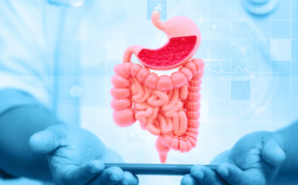 Untitled design - 2025-11-19T113214.319